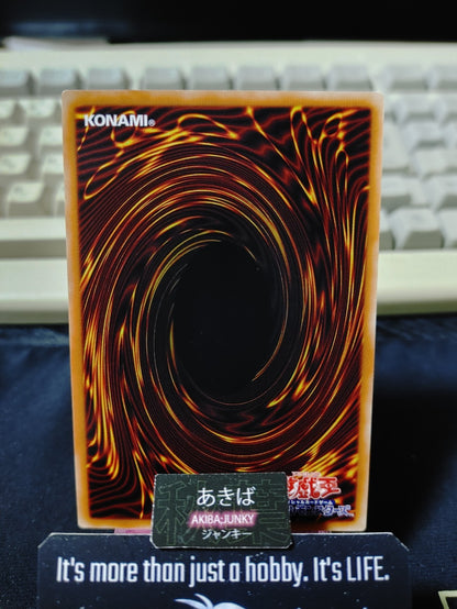 Mare of the Shore Yugioh DIFO-JP030 Rare Konami OCG JAPAN
