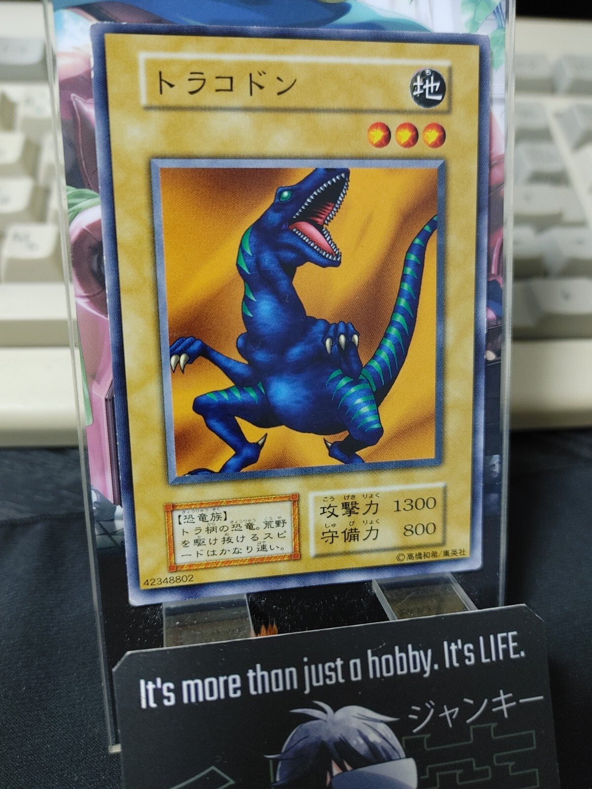 47431979