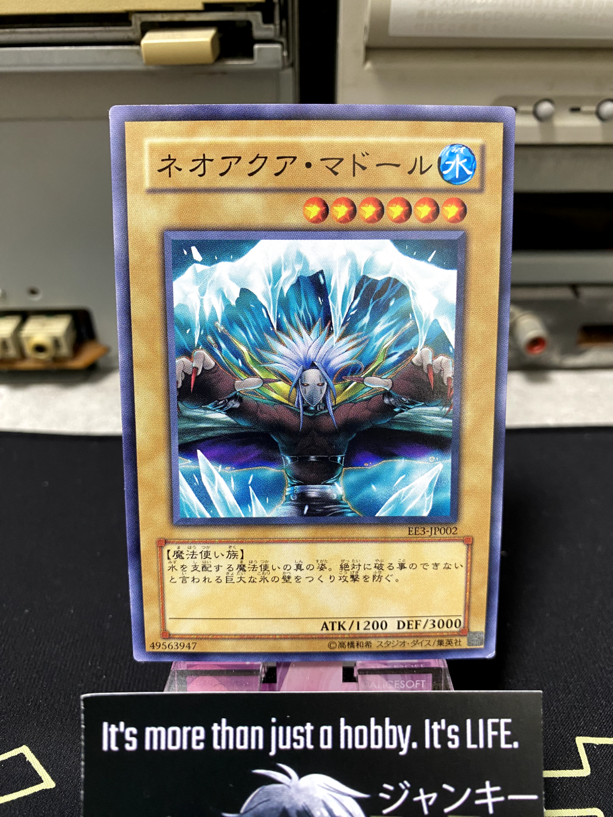 47431093