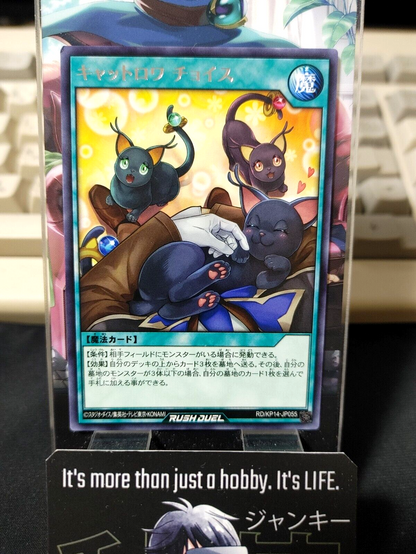 47432394