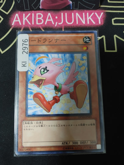 47434044