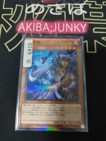 47431269