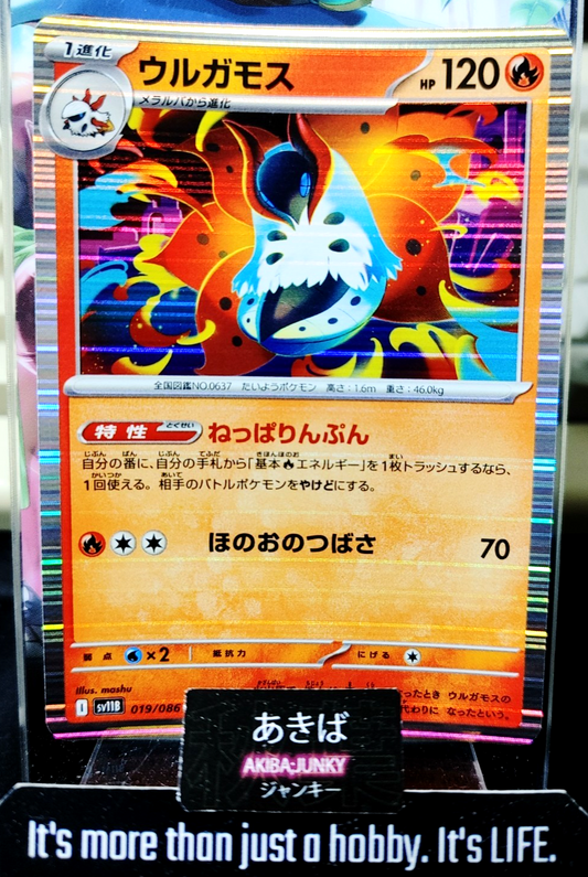 47434269
