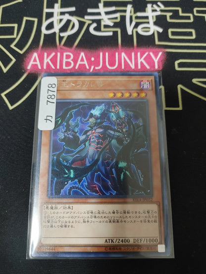 47429812