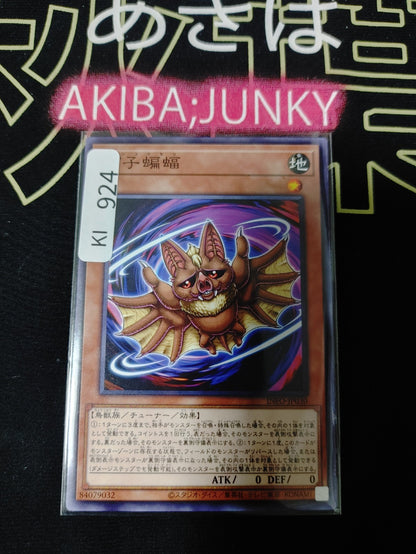 47427023