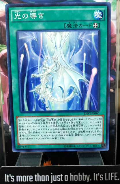 47426187