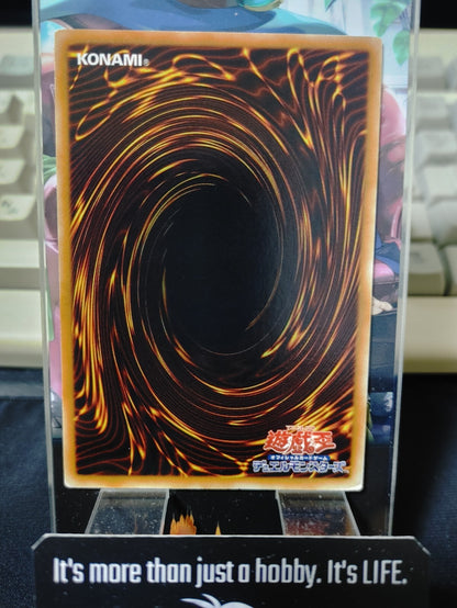 47432077