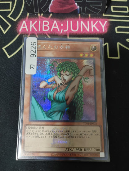 47433846