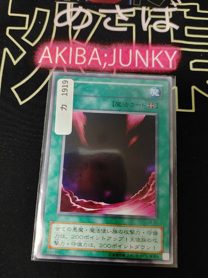 47429256