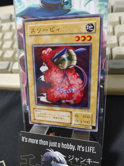 47429254