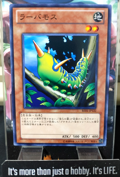 47429896