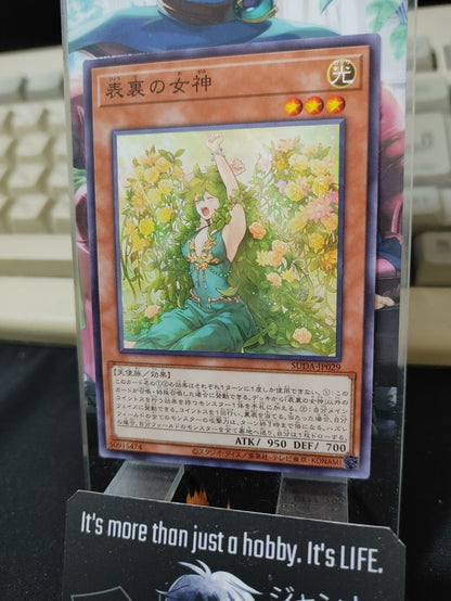 47439817