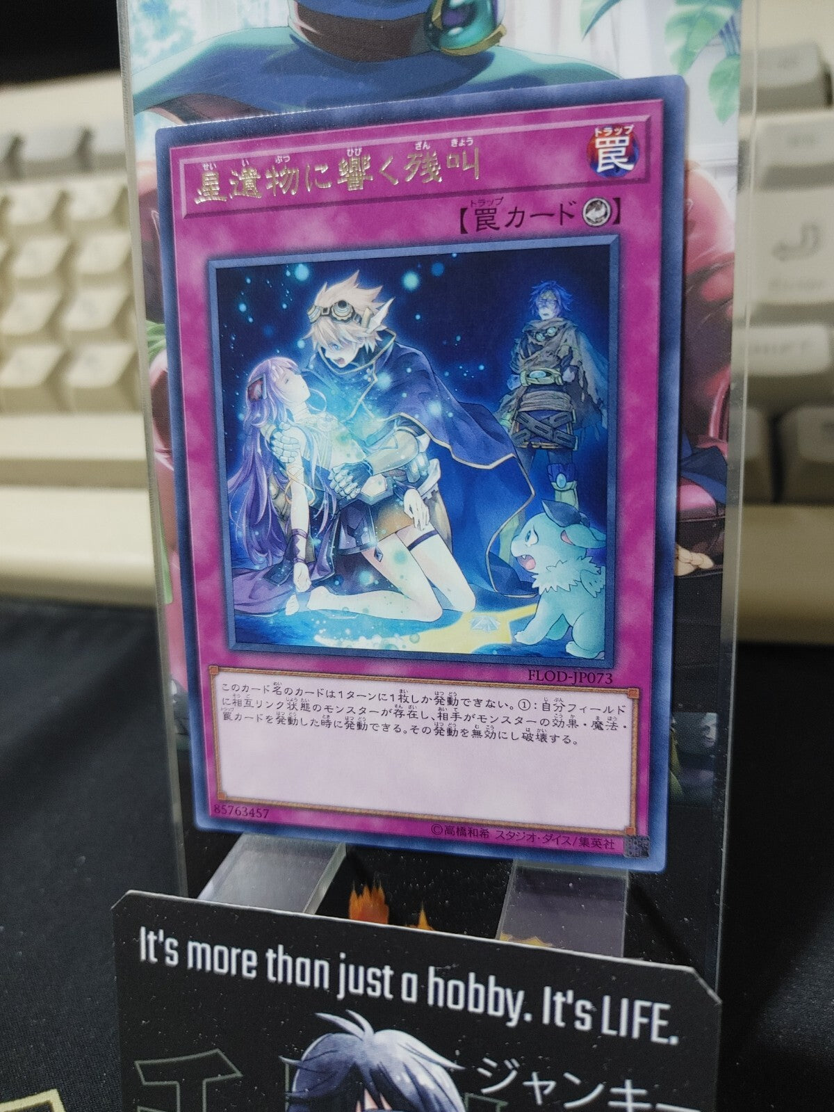 47431531