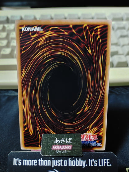 Drake Shark Yugioh ROTA-JP002 Rare Konami OCG JAPAN