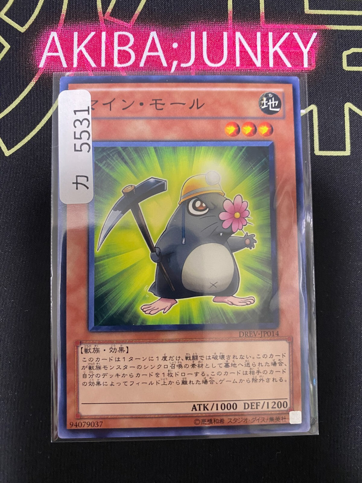 47431081