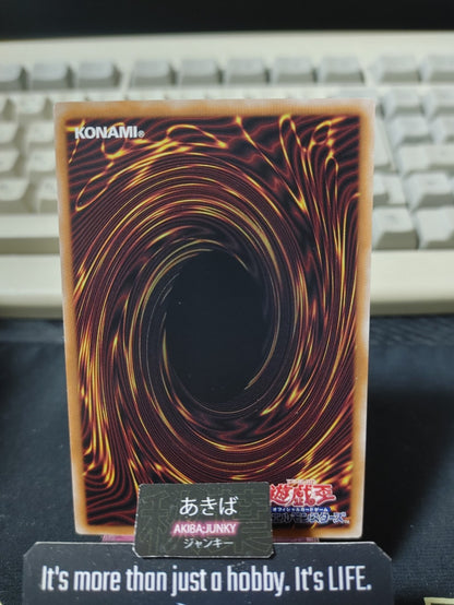 Absorb Fusion Yugioh TW02-JP070 Parallel Rare Konami OCG JAPAN