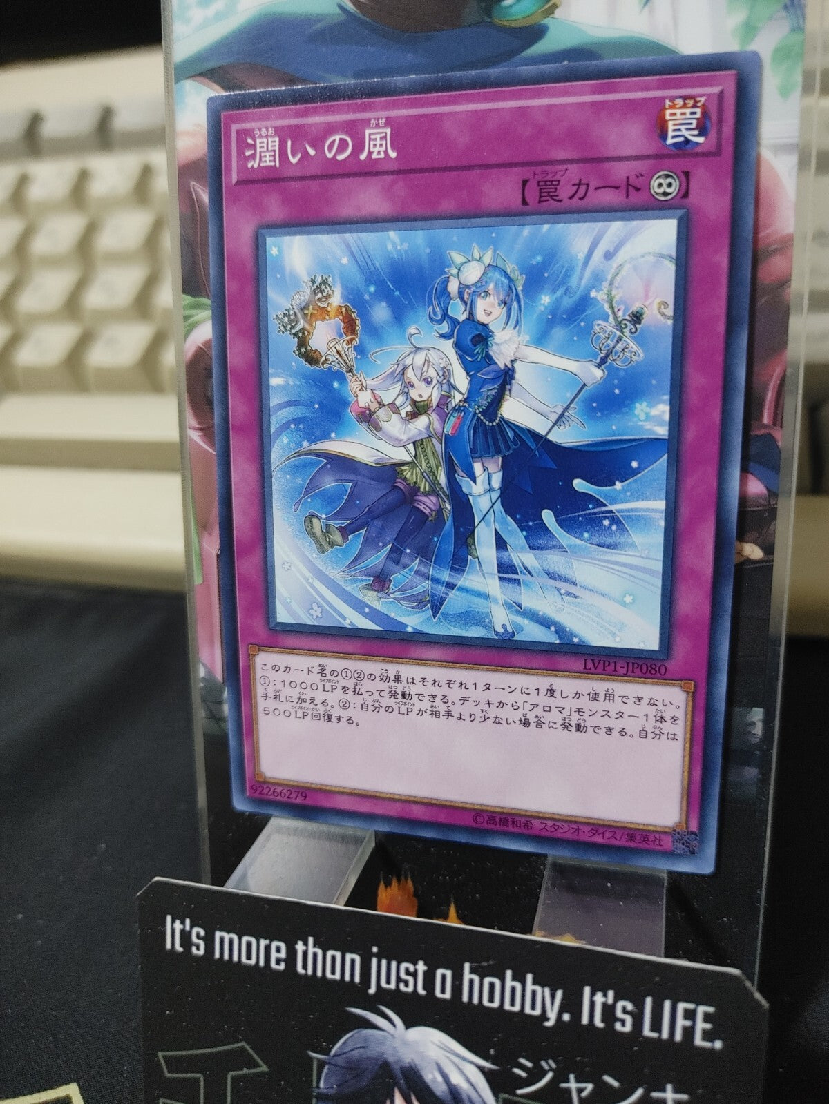 47431141