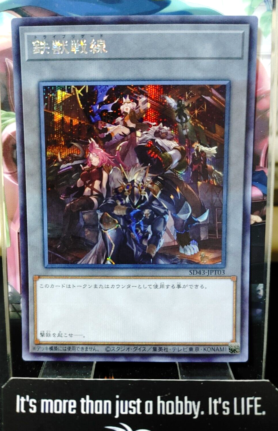 47434553