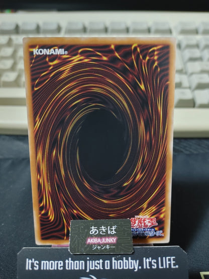 47440241