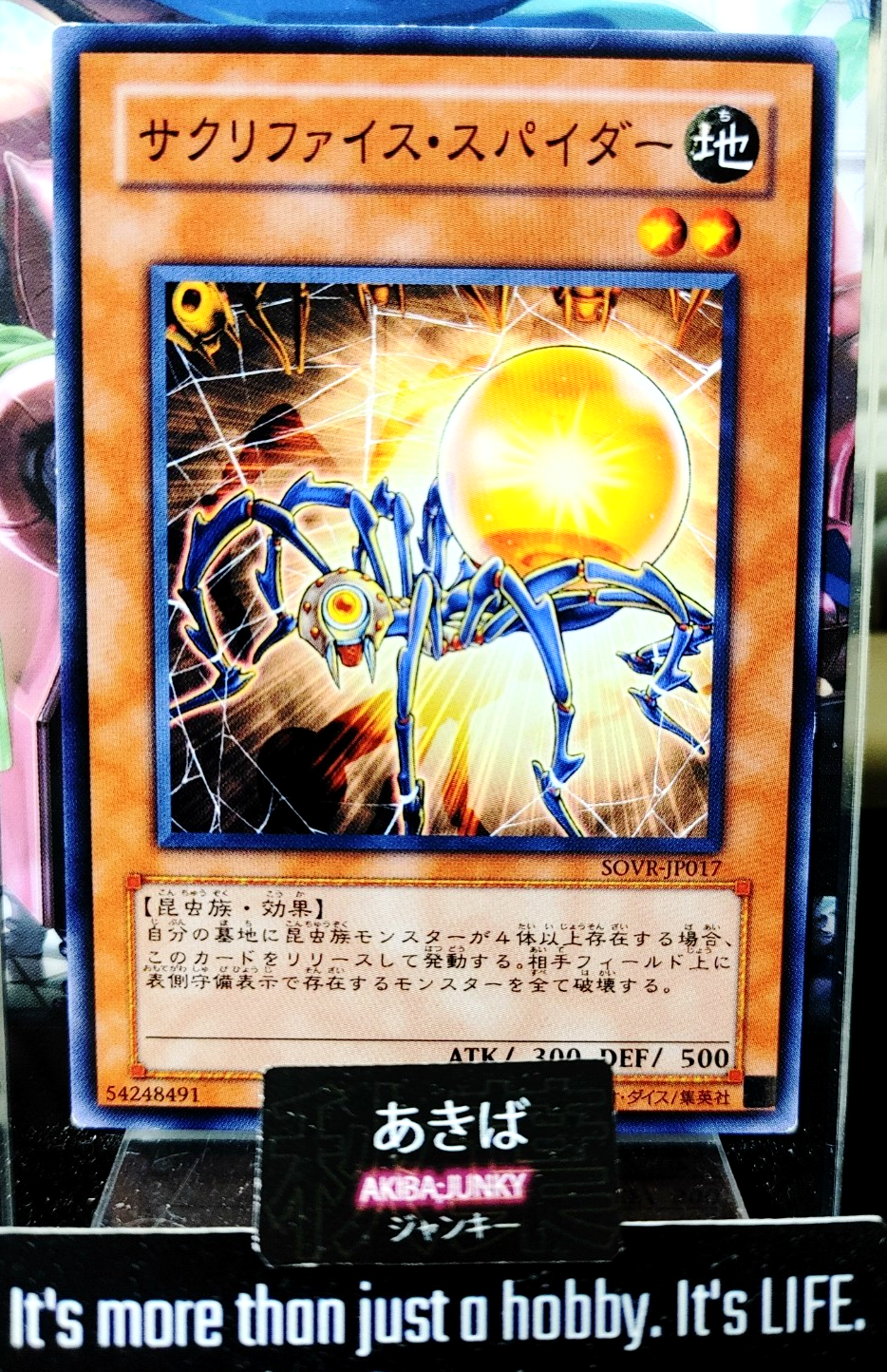 47427443