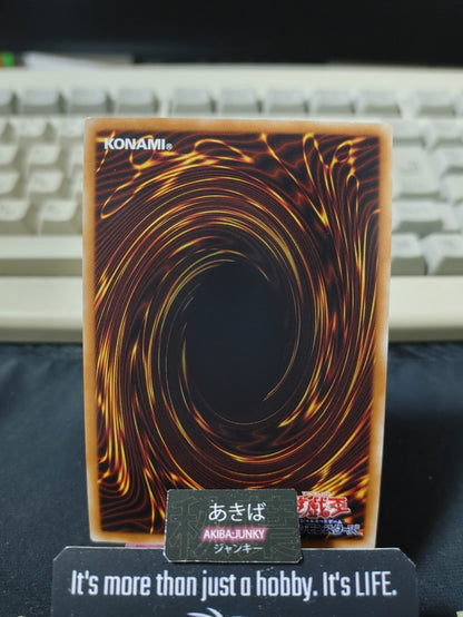Fortune Lady Every Yugioh RIRA-JP038 Secret Rare Yu-Gi-Oh OCG JAPAN UNCENSORED