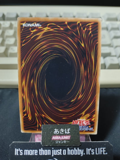 47427653