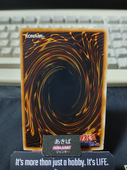 Pot of Greed Yugioh Yu-Gi-Oh Konami OCG JAPAN
