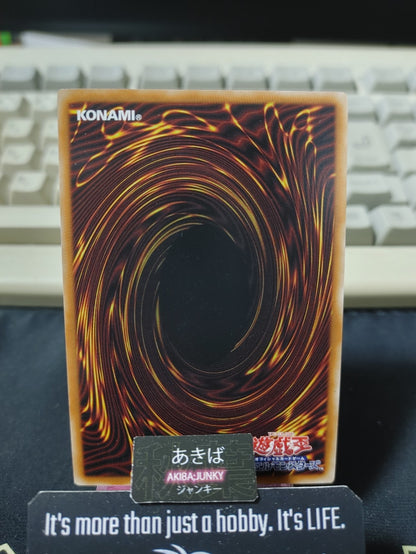 Hate Rose Witch Yugioh DOOD-JP040 Super Rare Konami OCG JAPAN