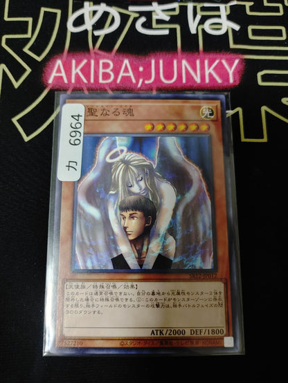 47436353