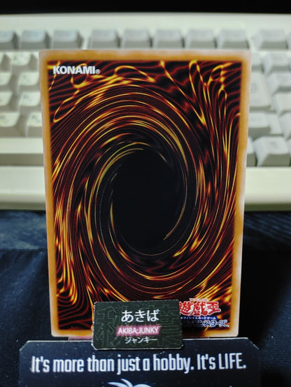 Coralianektes the Shimmering Shining Dragon Yugioh BETB-JP029 Konami OCG JAPAN
