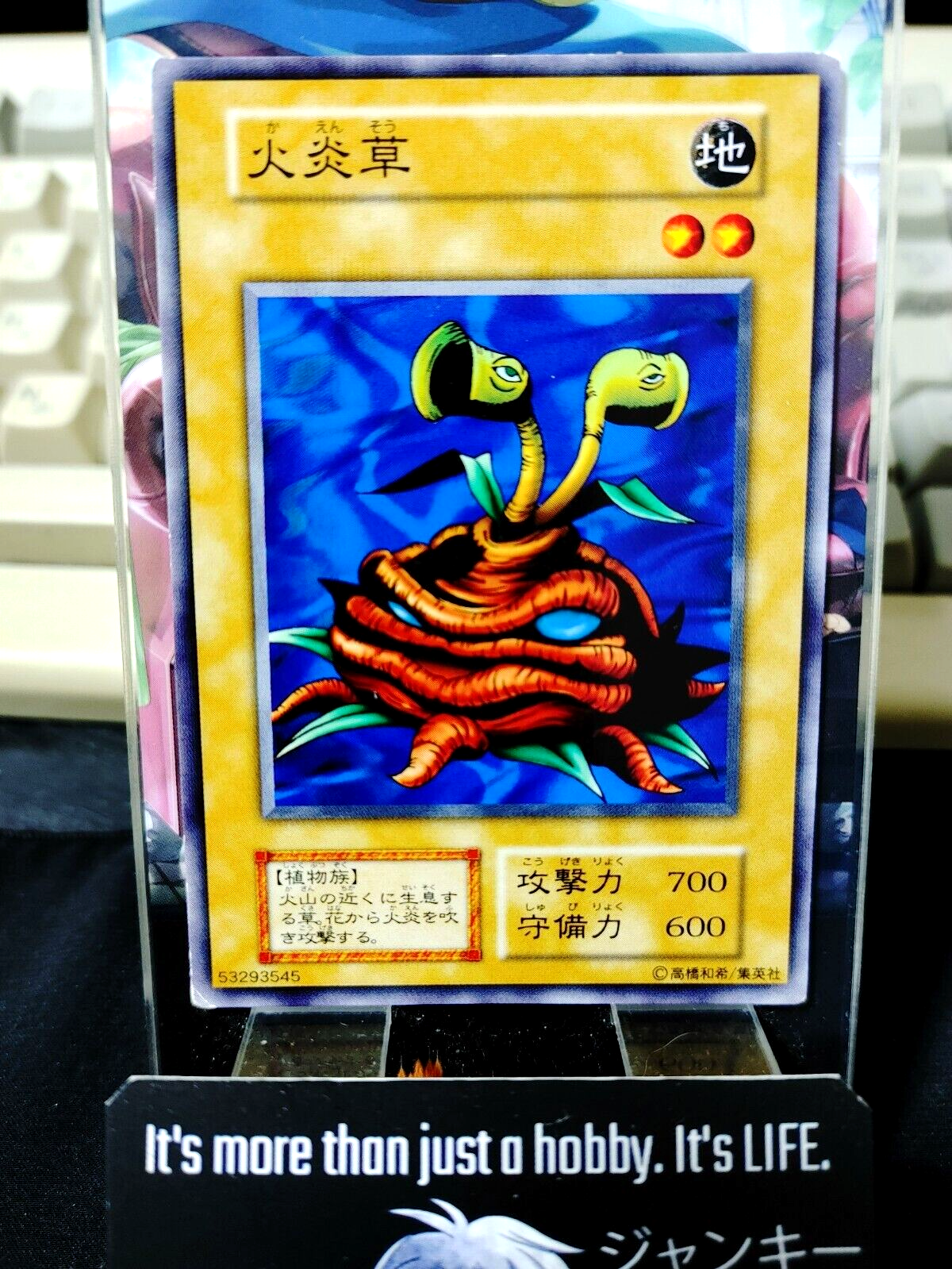 47431342