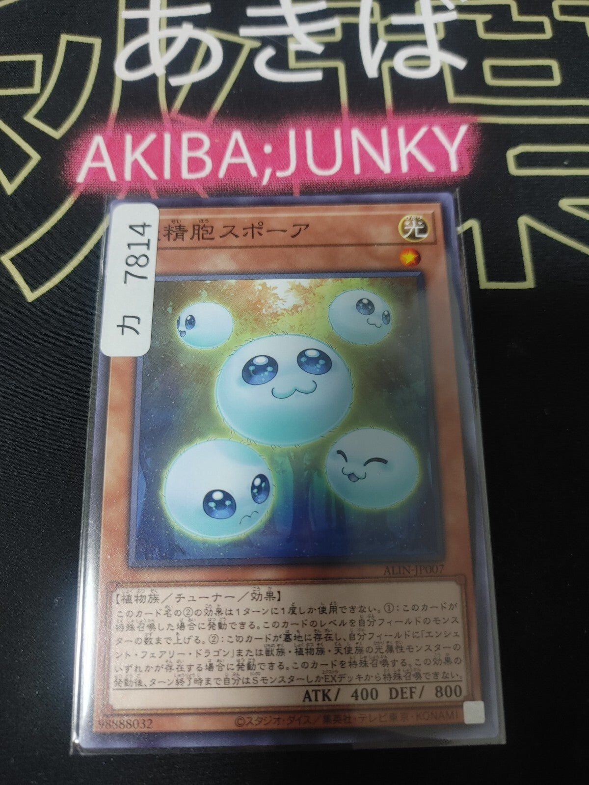 47427679