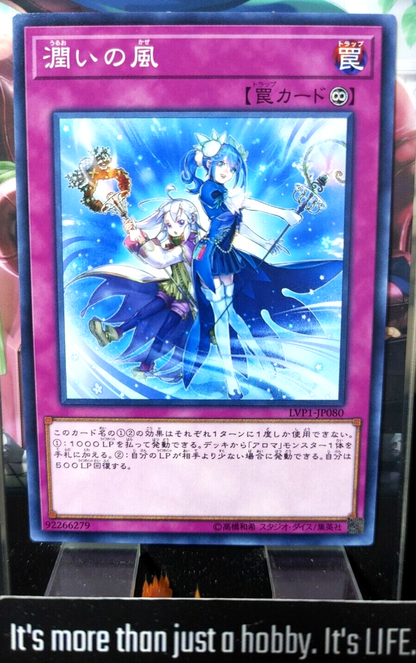 47431141