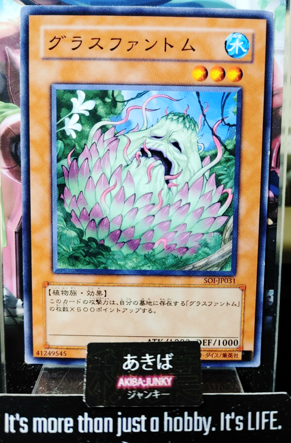 47427445