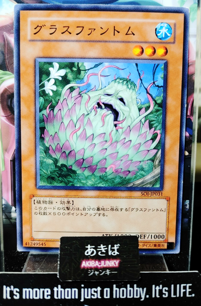 47427445