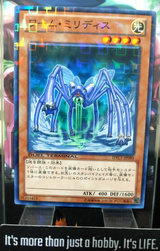 47436155