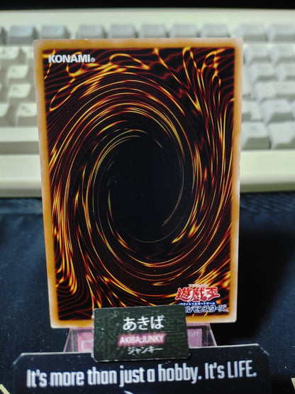 47429506