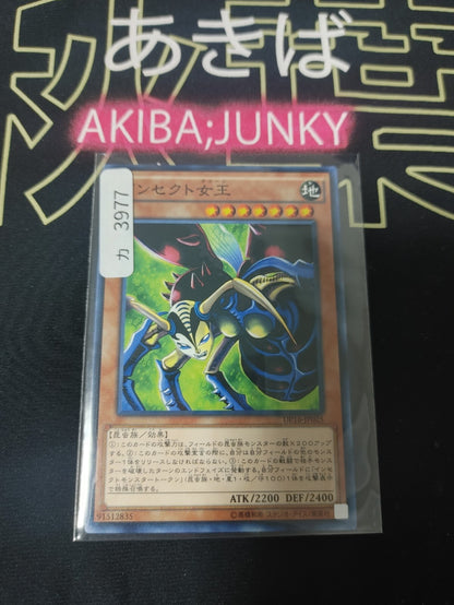 47433725
