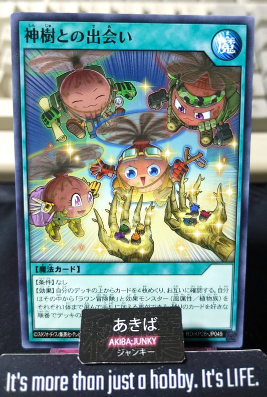 Encounter with the Sacred Tree Yugioh RD/KP26-JP049 Rush Duel Konami JAPAN
