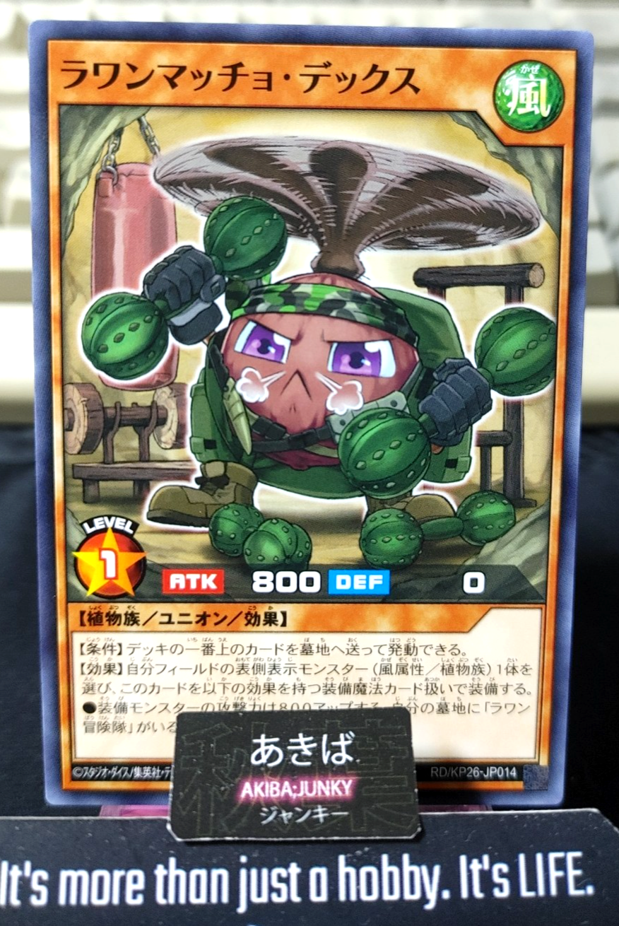 Lauan Macho Dex Yugioh RD/KP26-JP014 Rush Duel Konami JAPAN