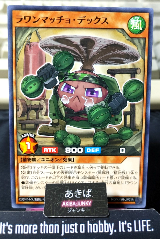Lauan Macho Dex Yugioh RD/KP26-JP014 Rush Duel Konami JAPAN