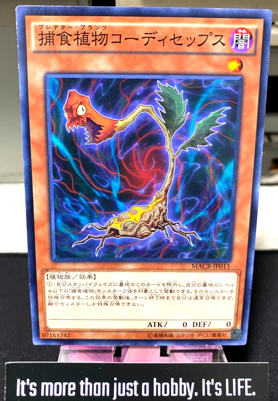 47425518