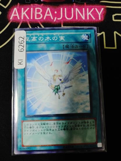 Supremacy Berry Yugioh RGBT-JP060 Konami OCG JAPAN