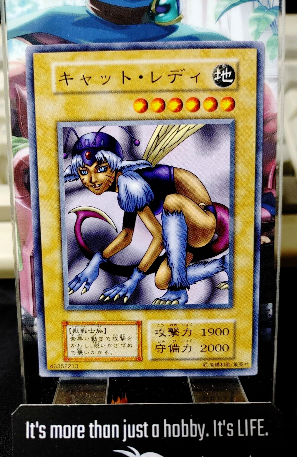 47436423