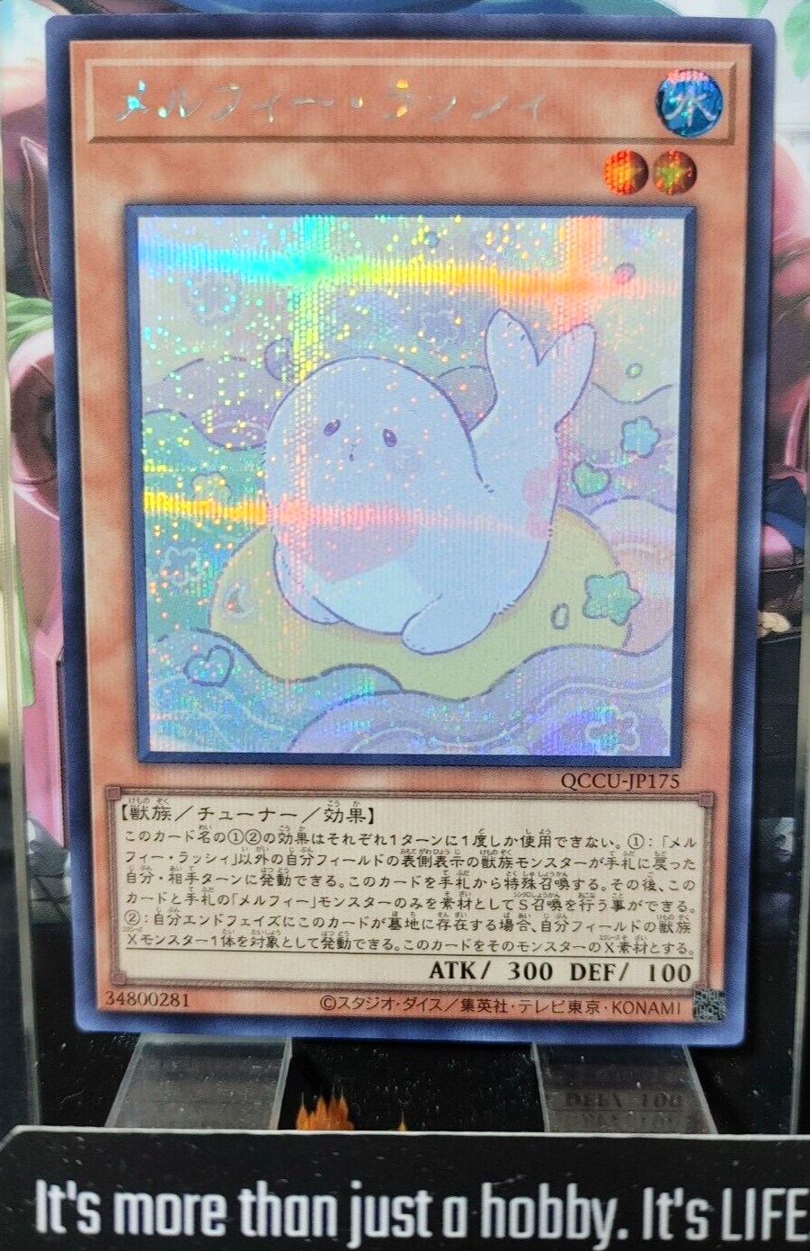47425805