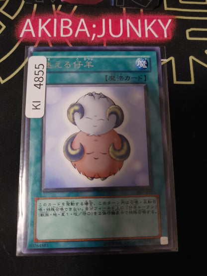 Stray Lambs Yugioh 307-037 Rare Konami OCG JAPAN