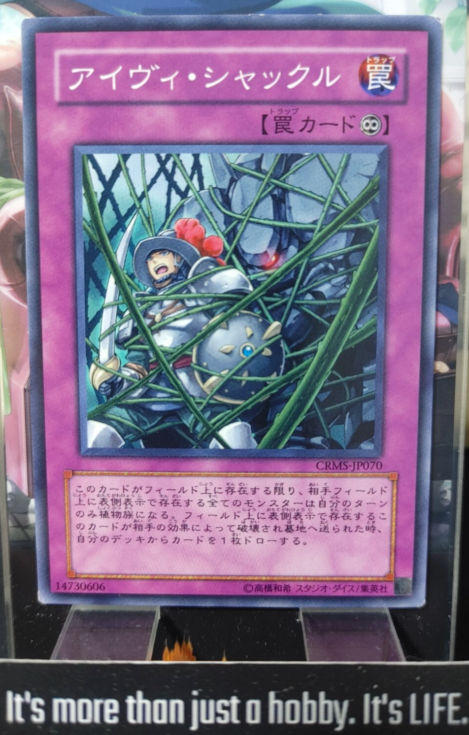47424428