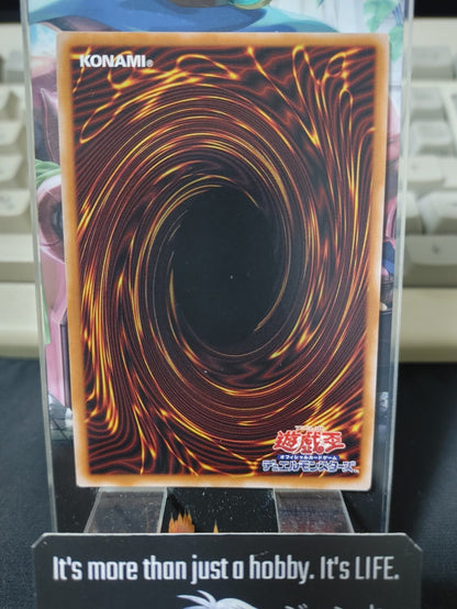 47422602