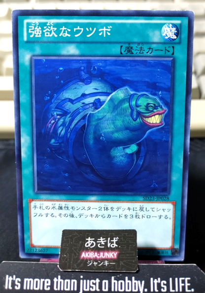 Moray of Greed Yugioh SD23-JP028 Konami OCG JAPAN