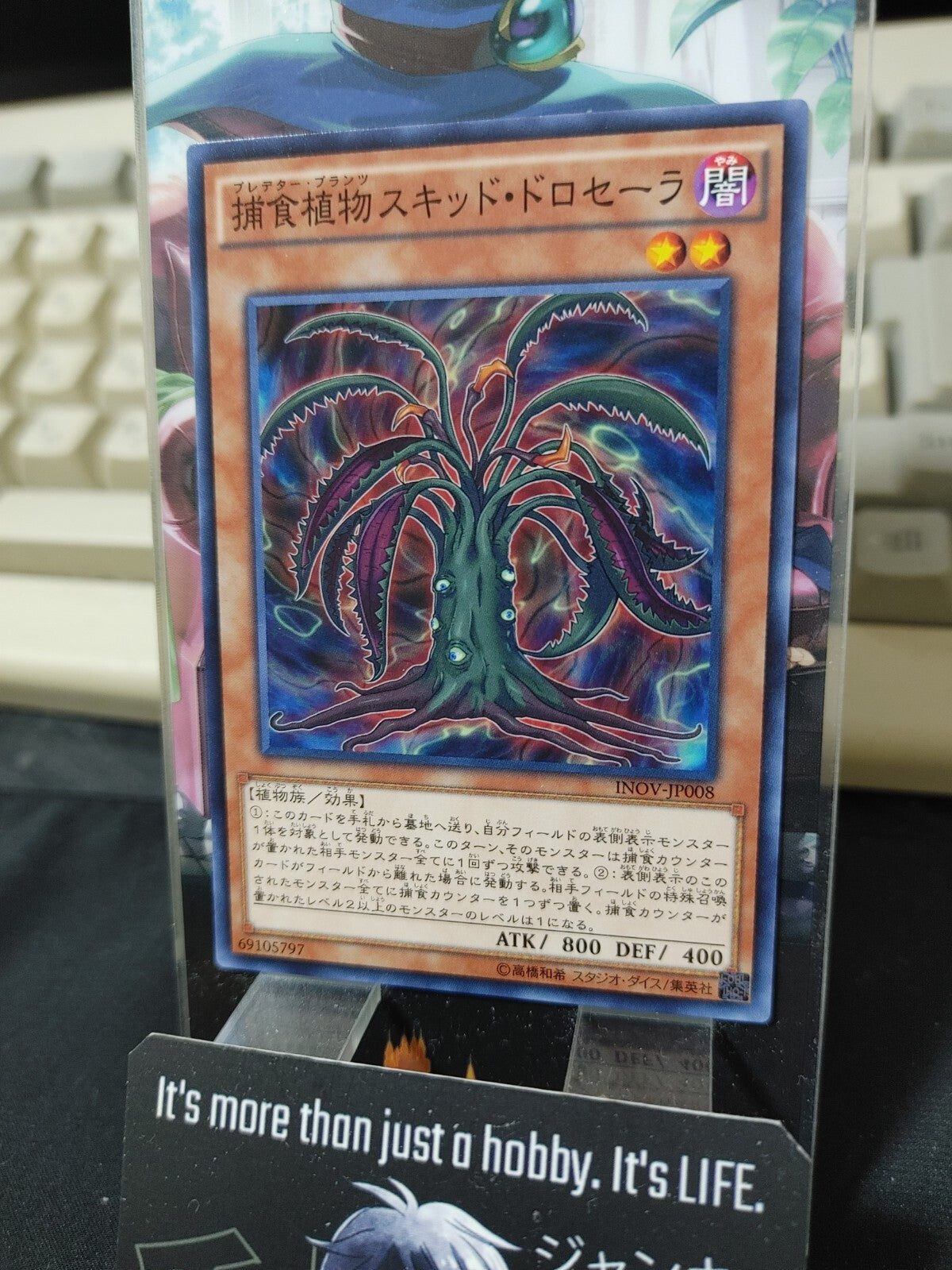 47424800